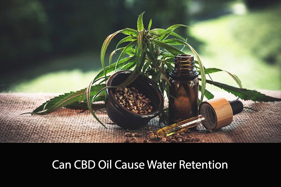 Can CBD Oil Cause Water Retention
