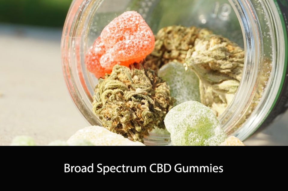 Broad Spectrum CBD Gummies