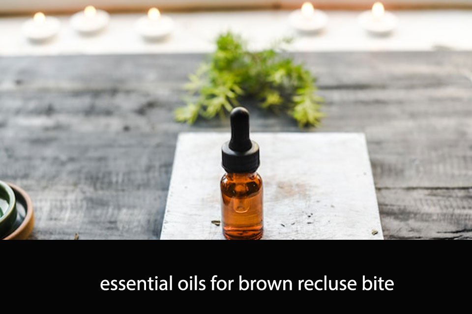 Essential Oils for Brown Recluse Bite