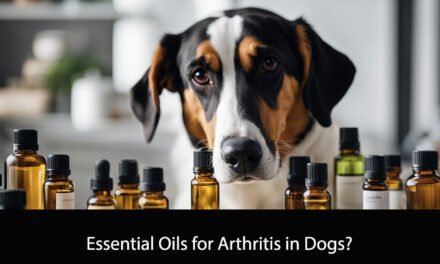 Essential Oils for Arthritis in Dogs