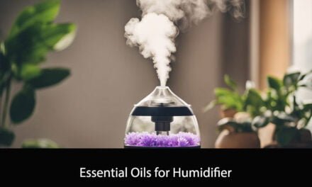 Essential Oils for Humidifier