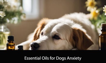 Essential Oils for Dogs Anxiety