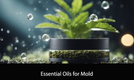 Essential Oils for Mold
