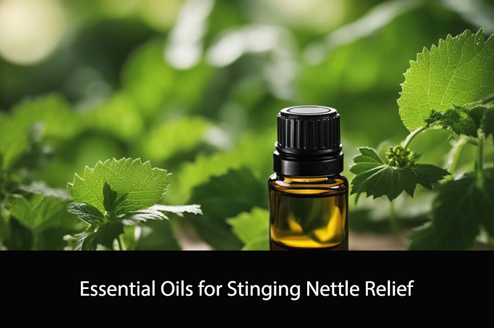 Essential Oils for Stinging Nettle Relief