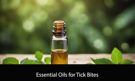 Essential Oils for Tick Bites